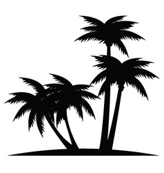Palms vector image