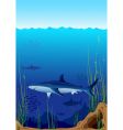 Underwater world with sharks vector image