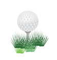 Golf ball vector image