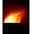 Burning Flames Background vector image