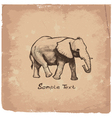 Art elephant vector image