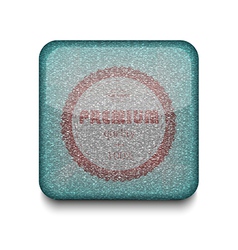 Premium quality icon vector image