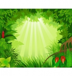 Forest vector image