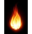 Burning Flame Fire Background vector image