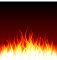 Burning Flames Background vector image