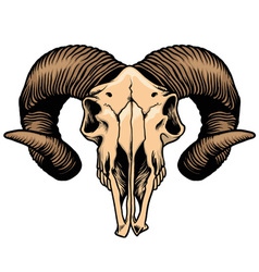 Goat head skull vector image