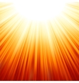 Star burst red vector image