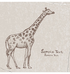 Art giraffe4 vector image