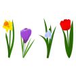 Spring flowers vector image