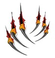 Claws scratches vector image