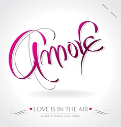 Amore hand lettering vector image