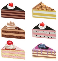 Cake slices vector image