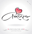 Amore hand lettering vector image