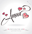 Amour hand lettering vector image