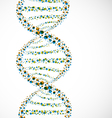 Dna strand molecule vector image