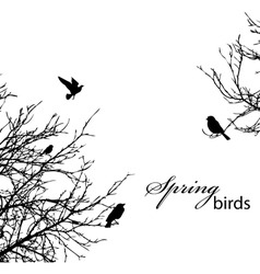 Trees and birds vector image