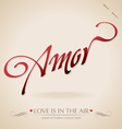 Amour hand lettering vector image