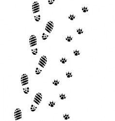 Foot prints vector image