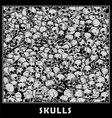 Skulls vector image