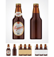 Beer bottle icon vector image
