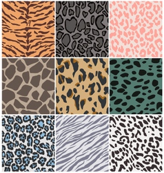 Animal skin seamless pattern vector image
