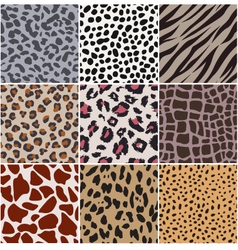 Animal skin seamless pattern vector image