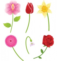 Spring flowers vector image