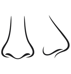 Nose Nose vector image