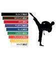 Karate background vector image