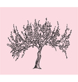 Hand drawn Sakura with blossom in line style vector image