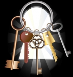 Bunch of keys vector image