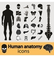 Human anatomy icons vector image