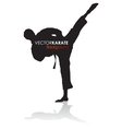 Karate background vector image