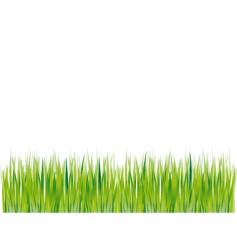 Grass silhouette vector image