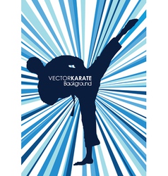 Karate background vector image