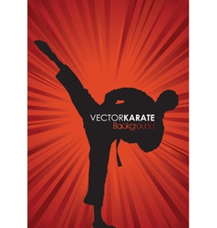 Karate background vector image
