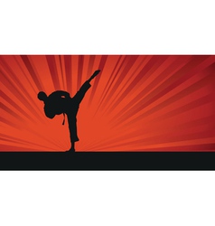 Karate background vector image