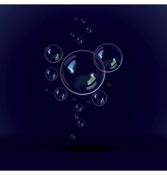 Soap bubbles on a black blue background vector image