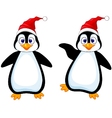 Funny penguin cartoon vector image