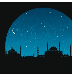 Istanbul vector image
