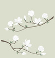 Magnolia flowers vector image
