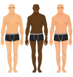 Male models vector image