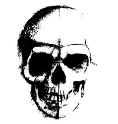 Skull sketch element Skull sketch element vector image
