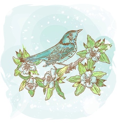 Background spring bird vector image