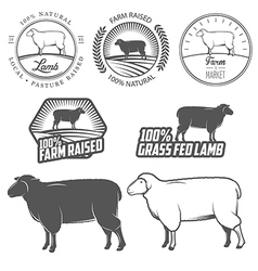 Set of lamb labels badges and design elements vector image