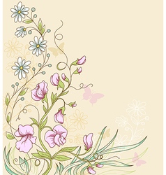Sweet pea vector image