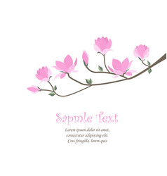 Magnolia flowers vector image