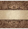 Abstract retro vintage floral frame vector image