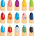 Nail vector image