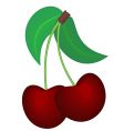Cherries vector image